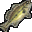 Aurora Bass icon.png