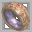 Shell Ring +1 icon.png