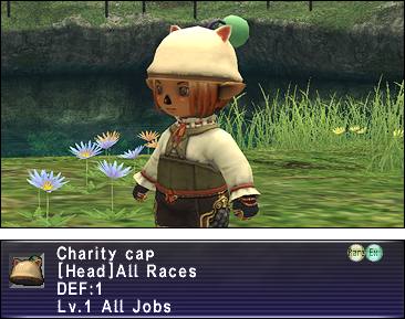 Charity Cap Appearance.png