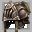 Gorney Morion +1 icon.png